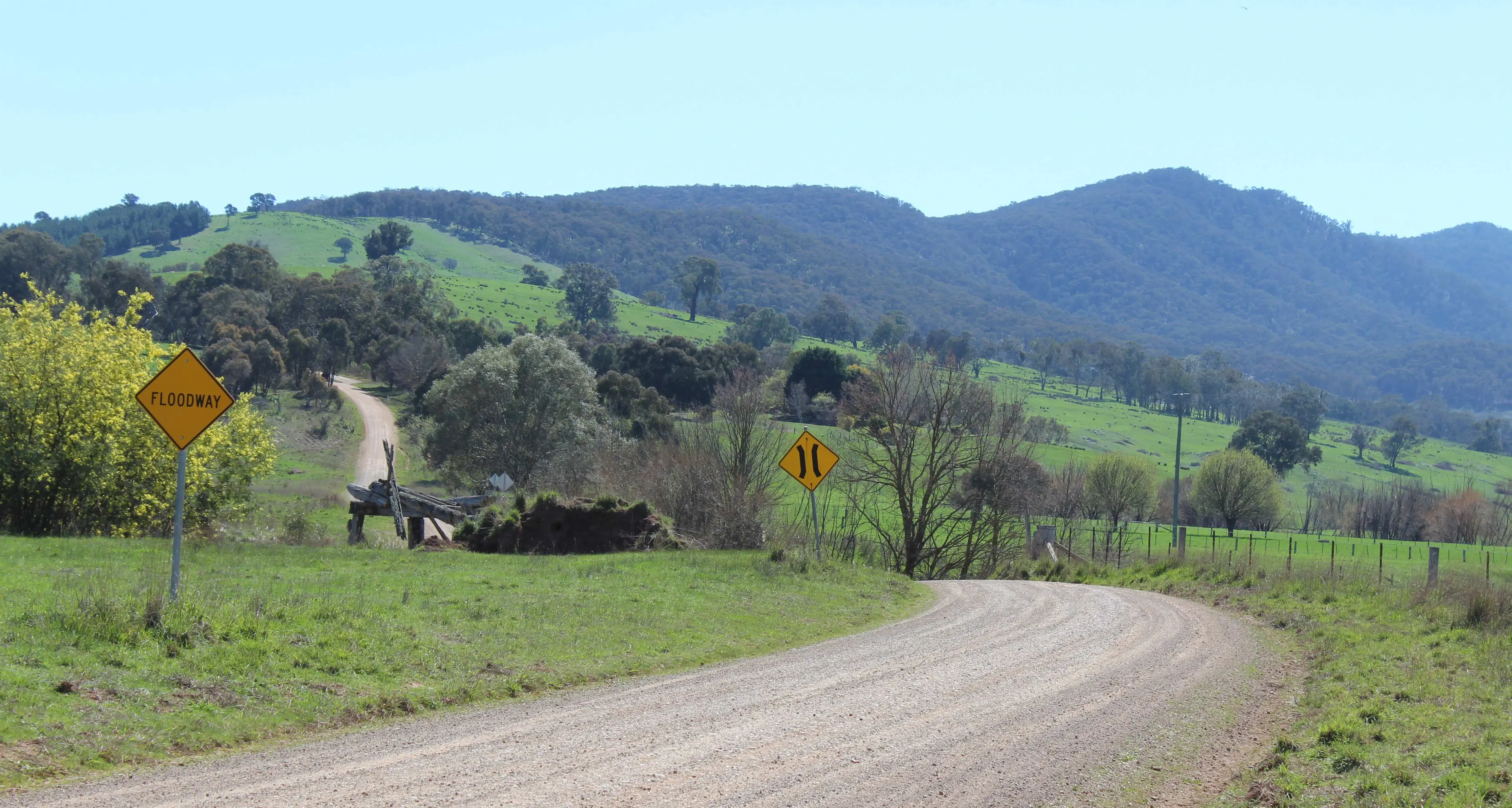 Stone cold controversy