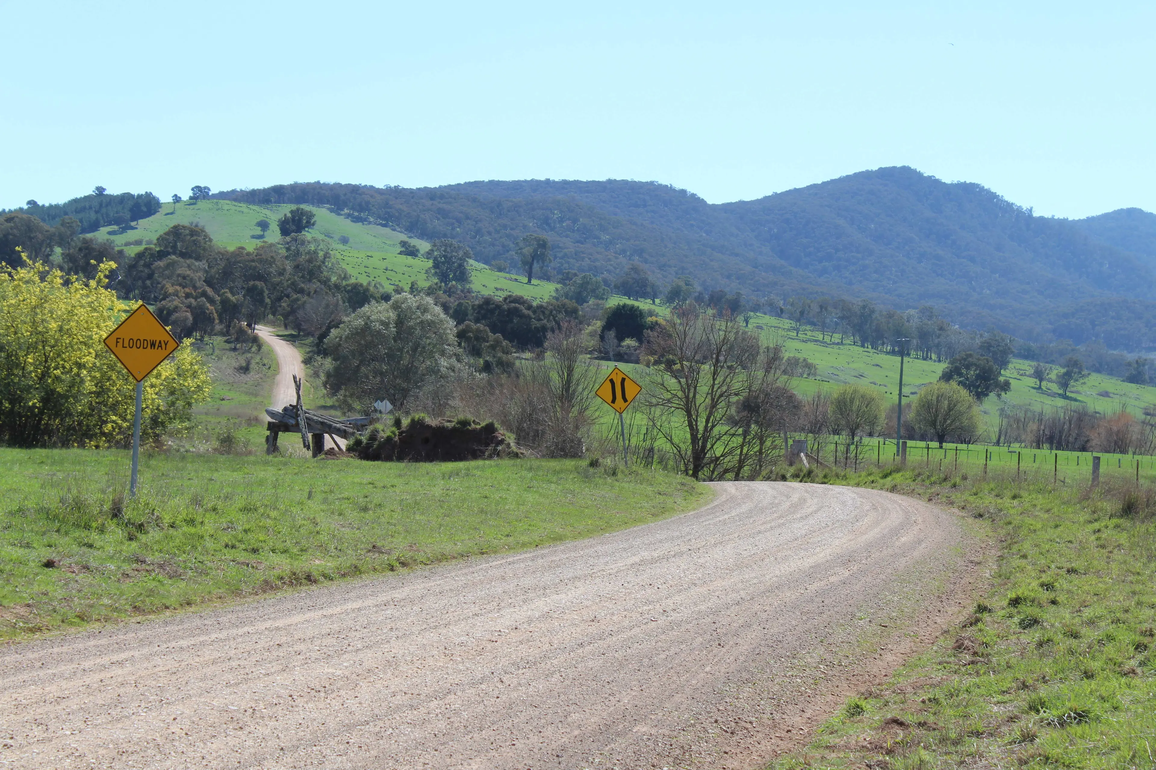 Stone cold controversy