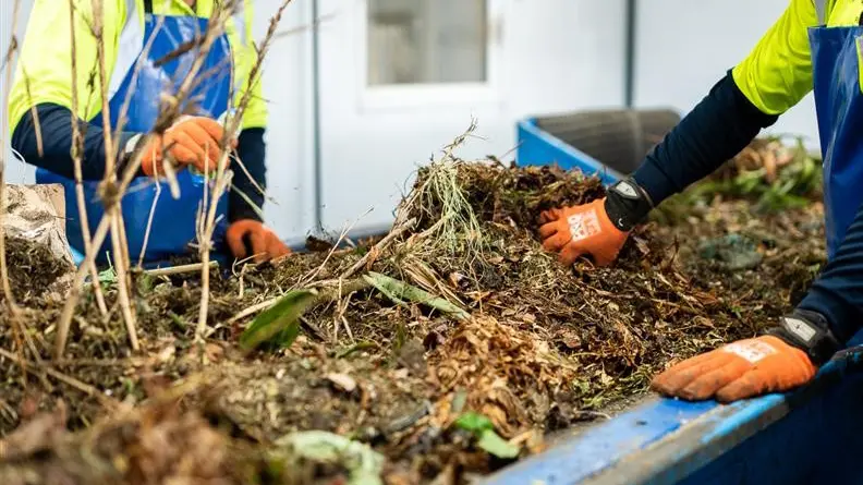 Free green waste disposal in November