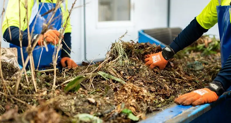 Free green waste disposal in November