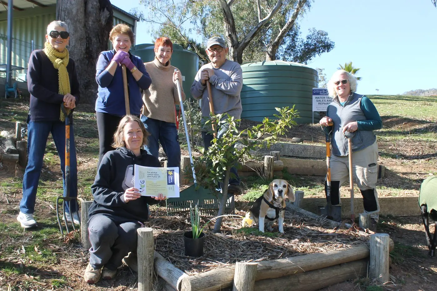 WANDERING TREE WORK:  Myrtleford Community Garden volunteers (from left) Shirley Gillam, Helen Hunter, Belinda Ramia, Karen Morton, Paul Reser, Poppy the Beagle and Therese Graham, spent last Thursday morning transplanting fruit trees to a more suitable location. PHOTOS: Phoebe Morgan