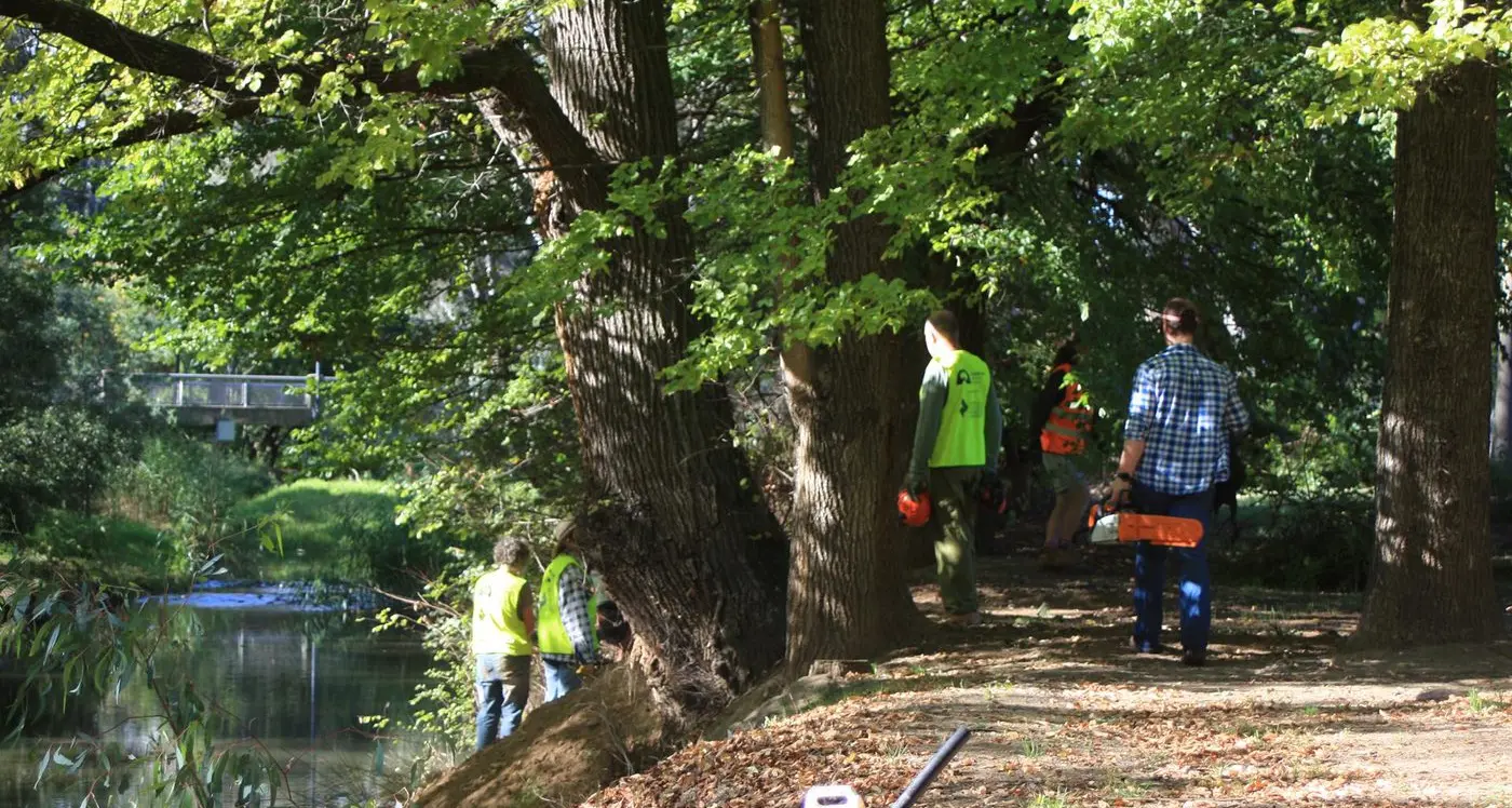 Keeping Myrtleford green and clean: extension of Mosaic Trail