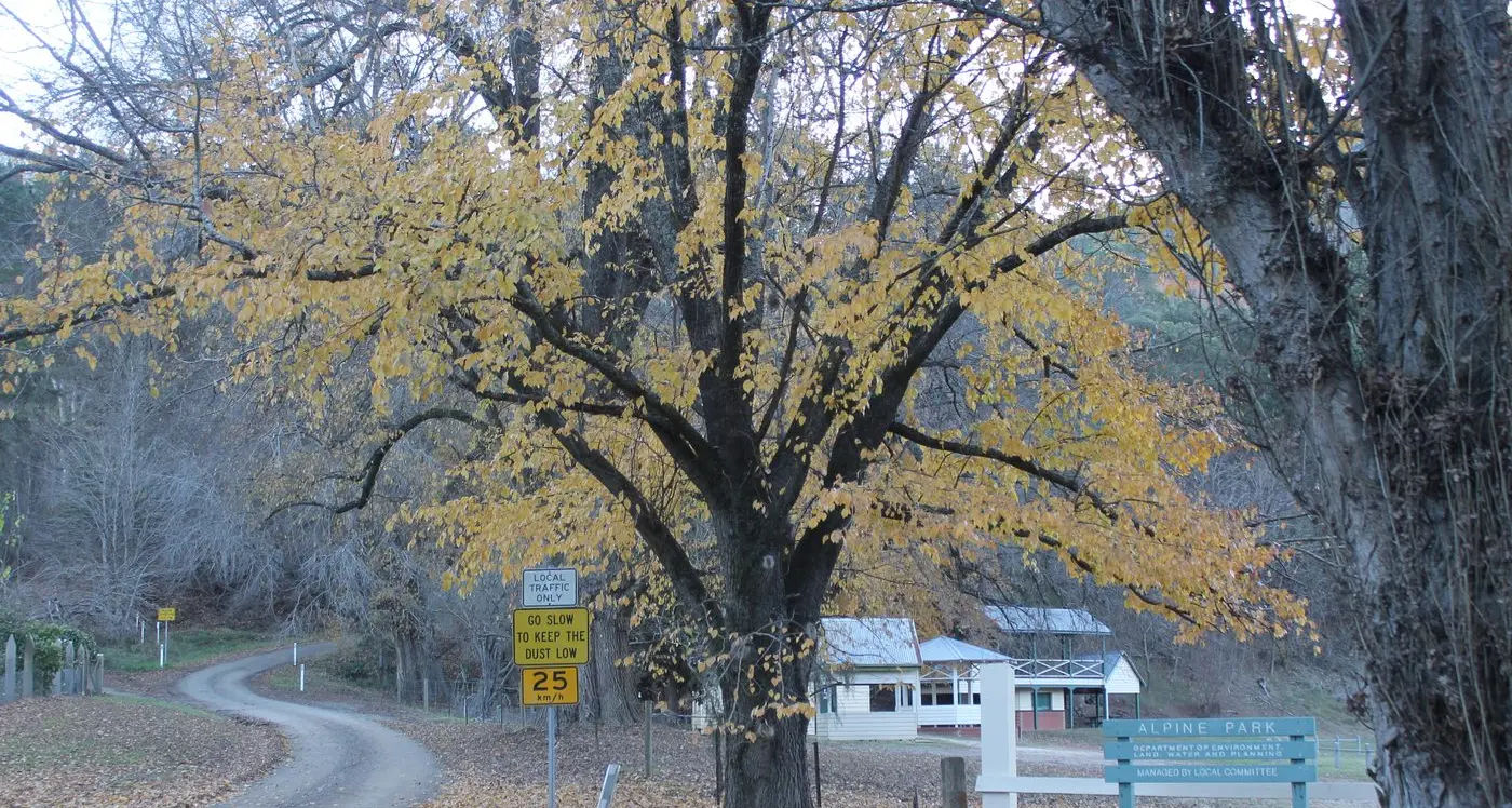 Runners ready for Wandi Cross