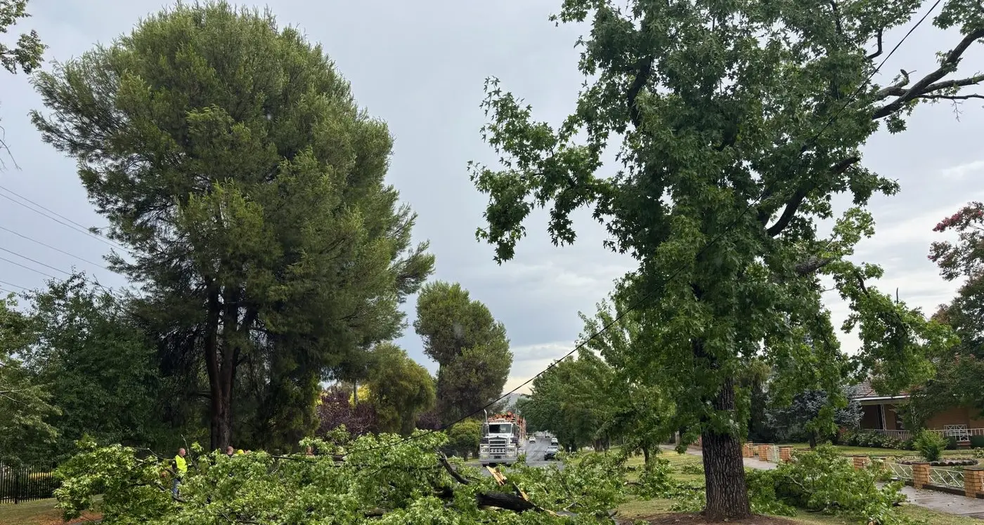 Sudden storms wreak havoc in the Shire