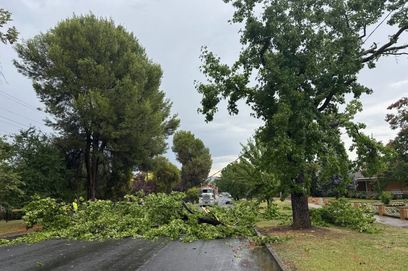 BOUGH BARRICADE: Access through Prince Street in Myrtleford was cut-off by a number of large branches blocking the way. PHOTO: Jenny Zamperoni.