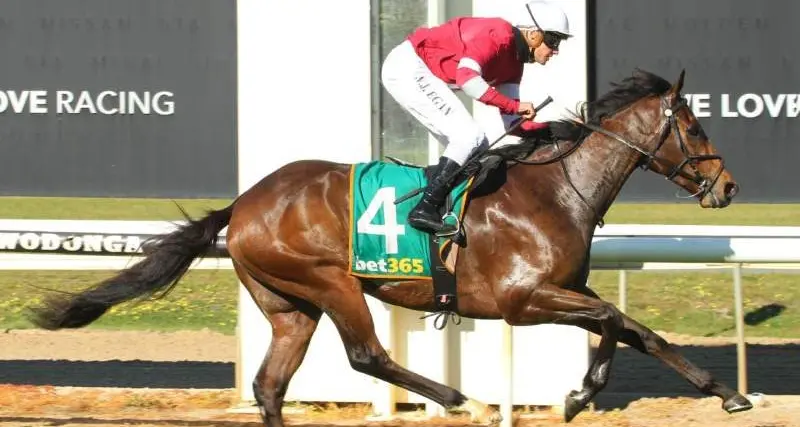 Dale keeps on notching up the wins