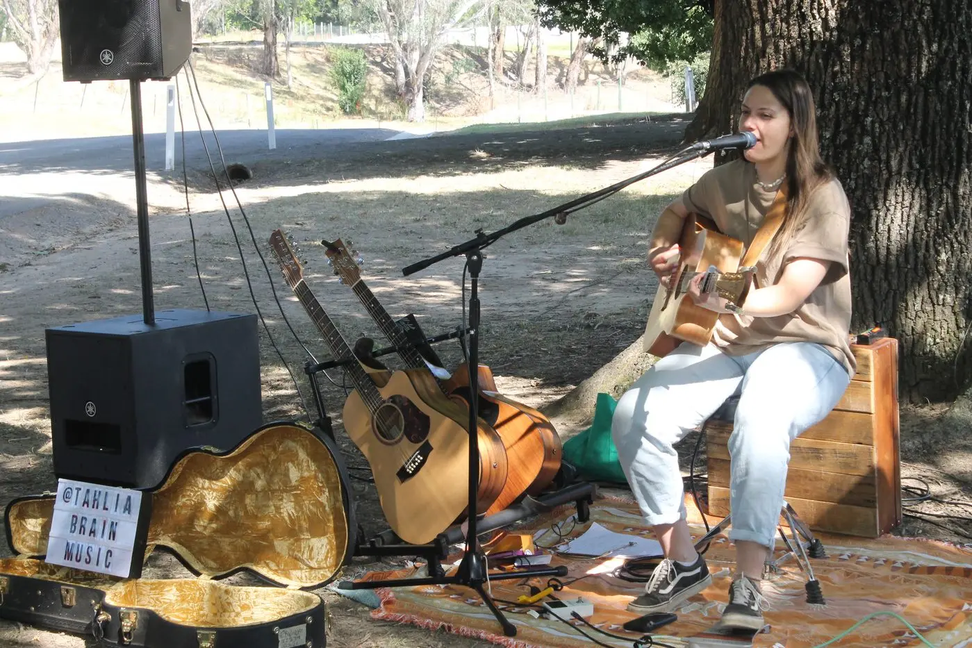 SMOOTH SOUNDS: Tahlia provided some great songs to add to the relaxing atmosphere at this year\\'s Myrtleford Bush Market.