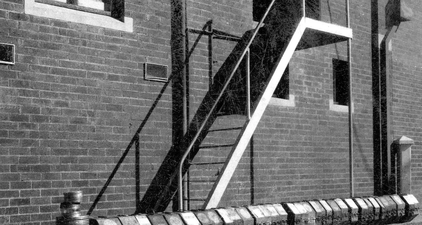 A night at the movies