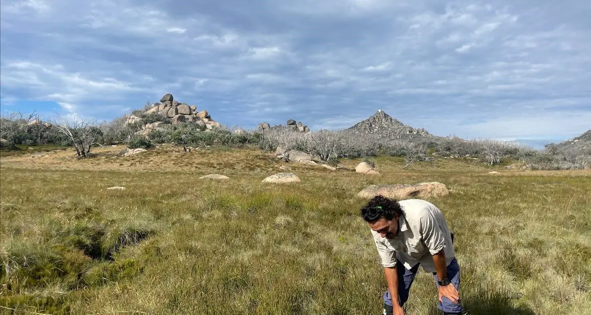 Project to lift health of alpine peatlands