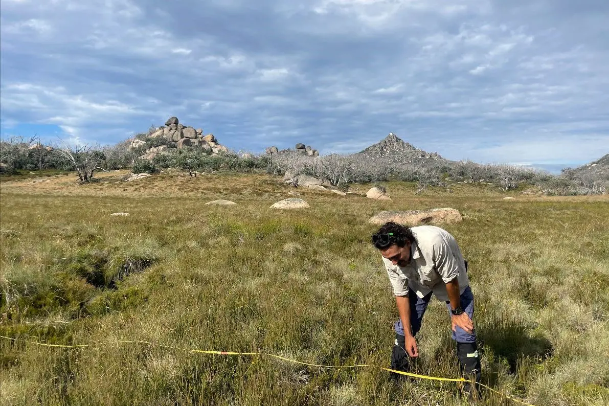 UNDER INSPECTION: Project team members have been monitoring the health of alpine peatlands in the North East over recent weeks. PHOTO: NECMA
