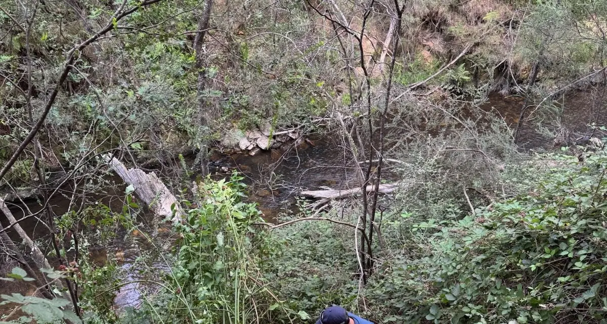 Trail tumble for mountain-biker in Bright