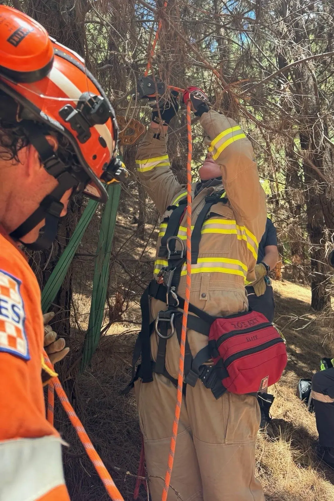 SMOOTH TREE-TOP SAVE: Emergency service members worked together to perform a successful high-angle rescue in Mystic Park.