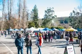 MARKET SUCCESS: Stallholders were pleased to see local support at the Bright Markets PHOTO: Jean-Pierre Ronco 