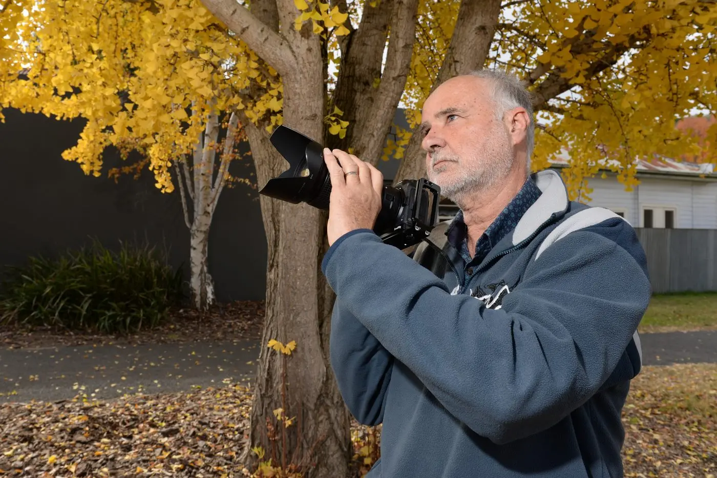 READY TO SNAP: Canberra resident Rodney Garnett was in Myrtleford last week taking photos of a Gingko with striking yellow foliage. PHOTO: Brodie Everist   \\n