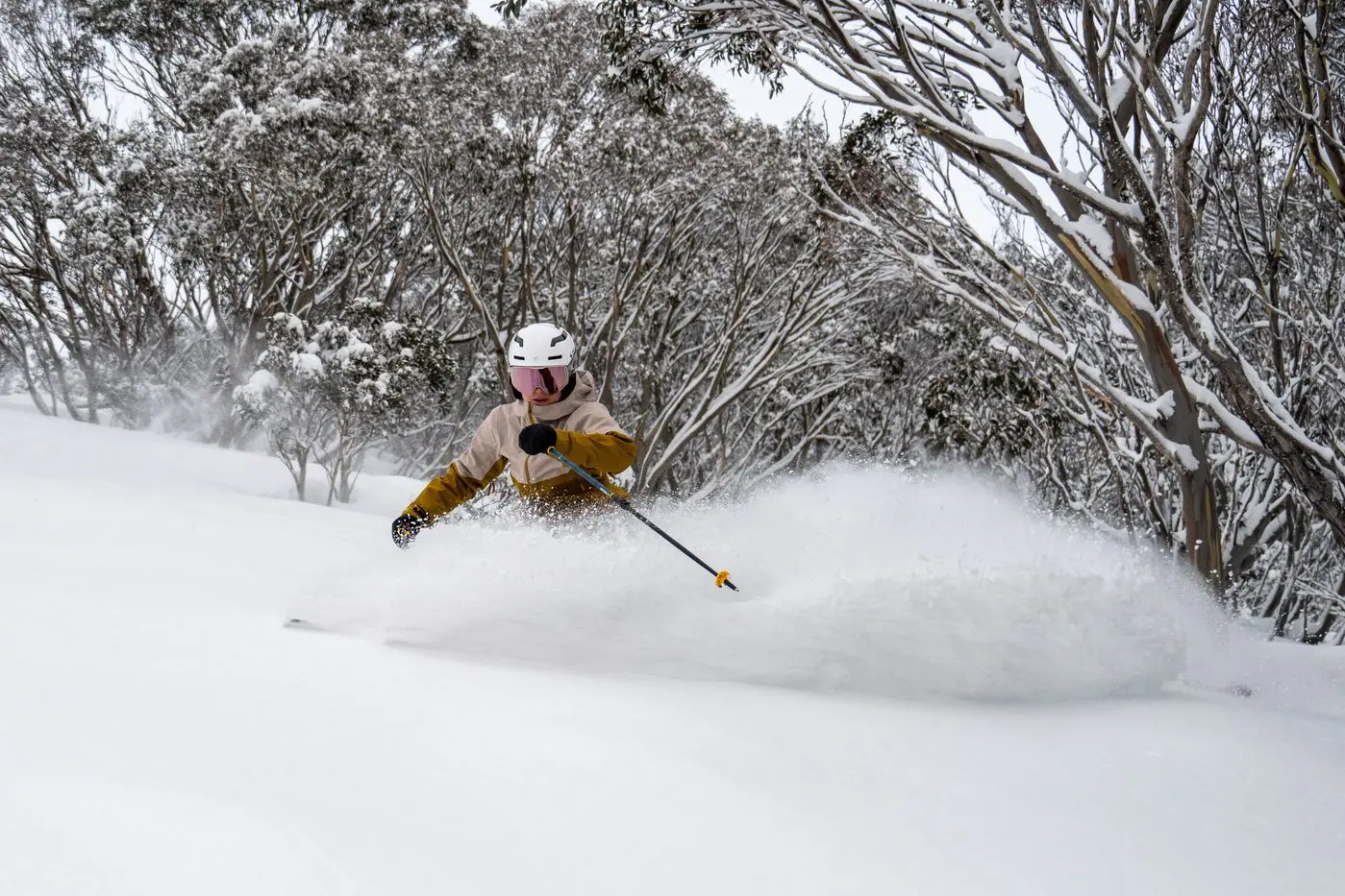 POWDER PEFRECT: More fresh snow over the weekend provided perfect powder conditions at Mt Hotham. PHOTO: Mt Hotham Ski Lifts