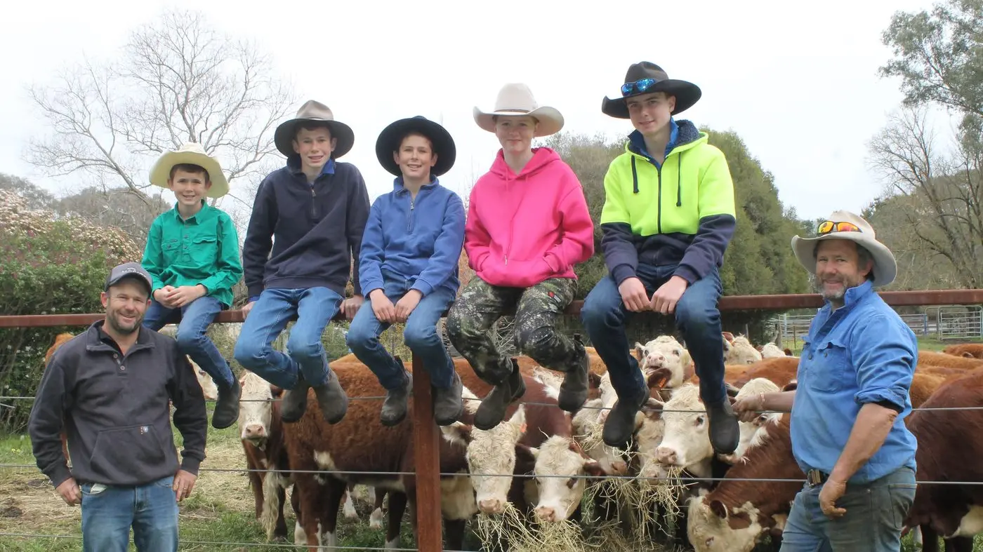 Herds head back to Myrtleford for spring special cattle sale