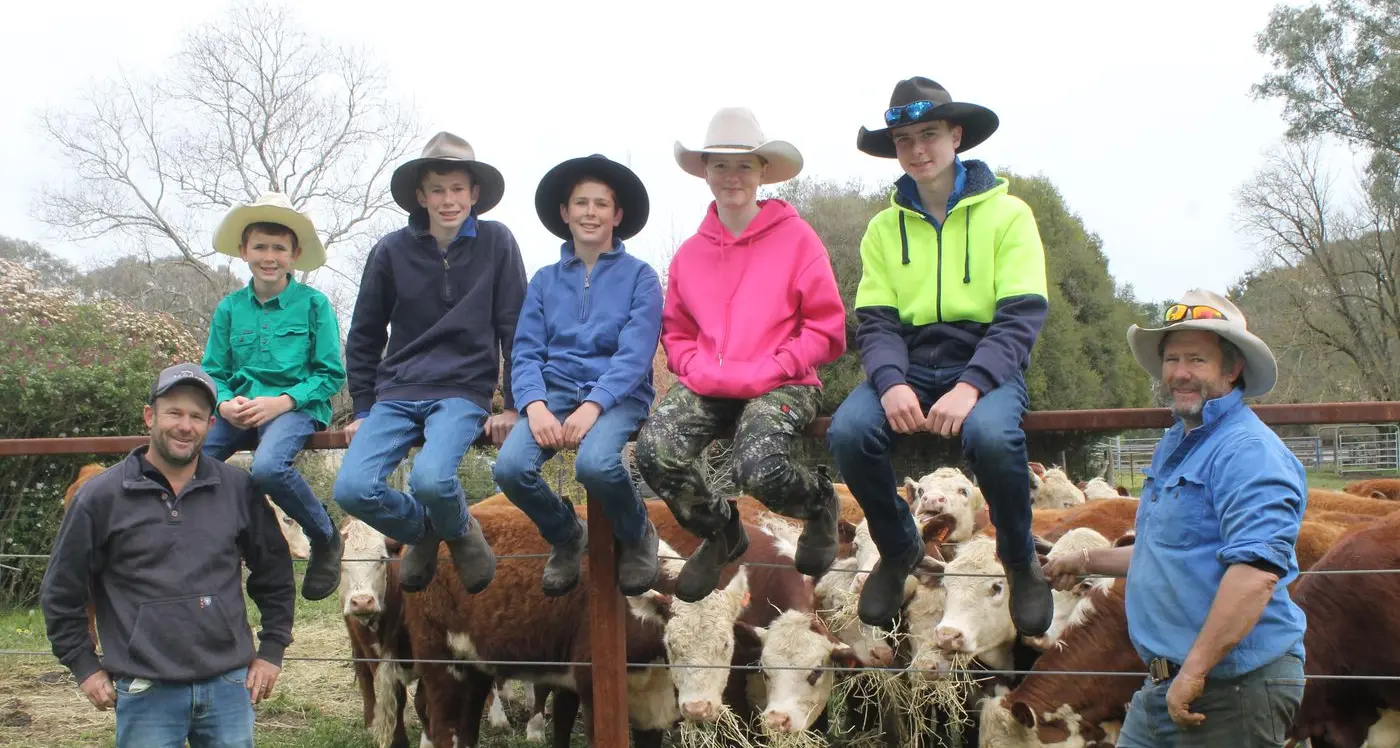 Herds head back to Myrtleford for spring special cattle sale