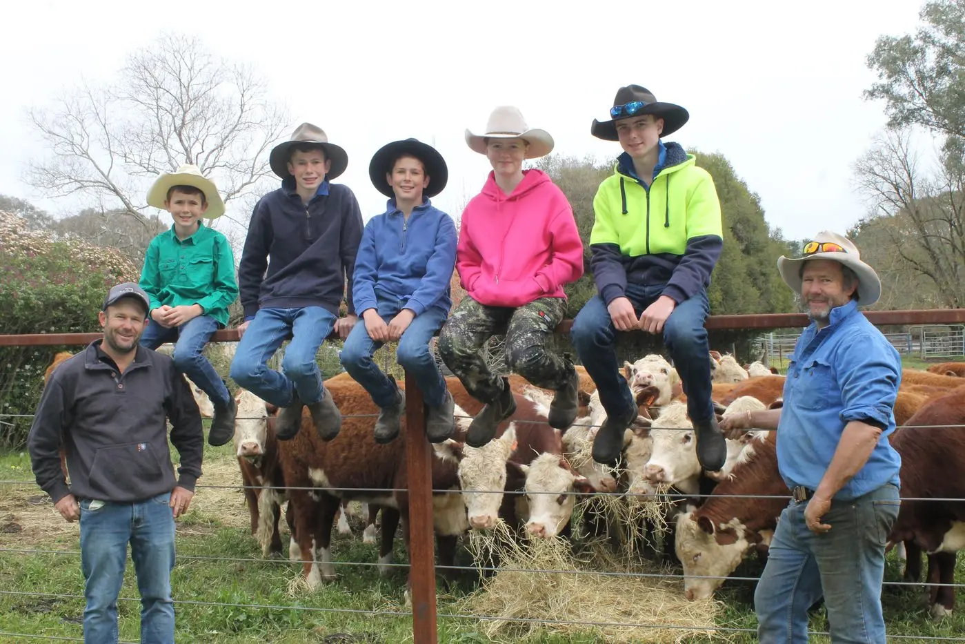 Herds head back to Myrtleford for spring special cattle sale