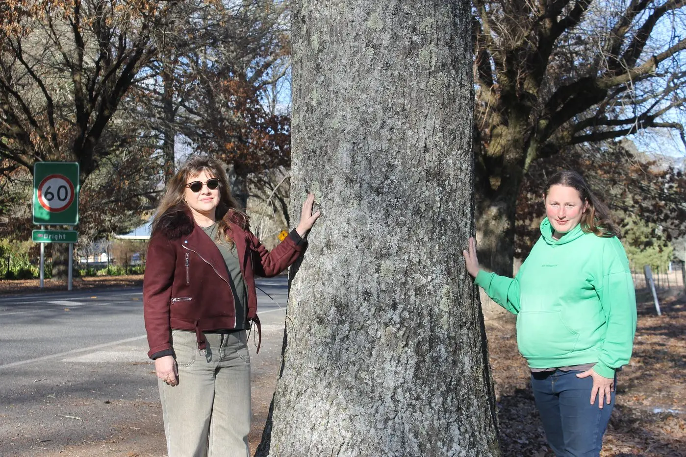 FOR TREES SAKE: Save the Gateway Trees in Bright members Sue Ronco and Kath Healy with one of the large trees on the western gateway to Bright. PHOTO: Phoebe Morgan