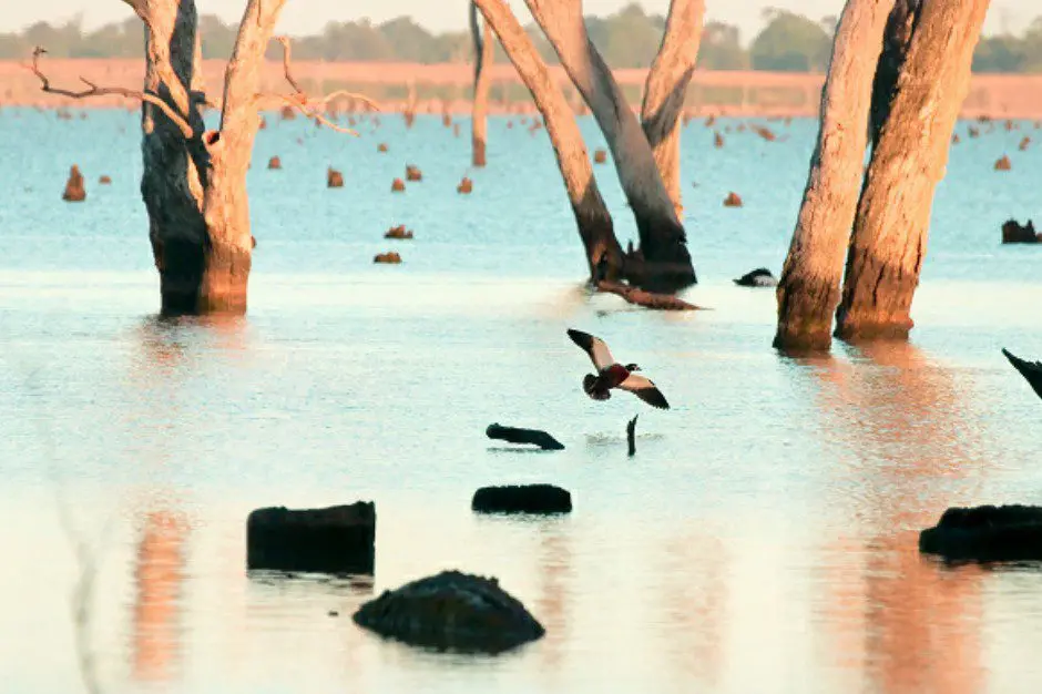 BE INFORMED: Duck hunters must know  the rules for hunting at Goulburn-Murray Water (GMW) lakes, dams and reservoirs if they plan shooting there this duck hunting season.