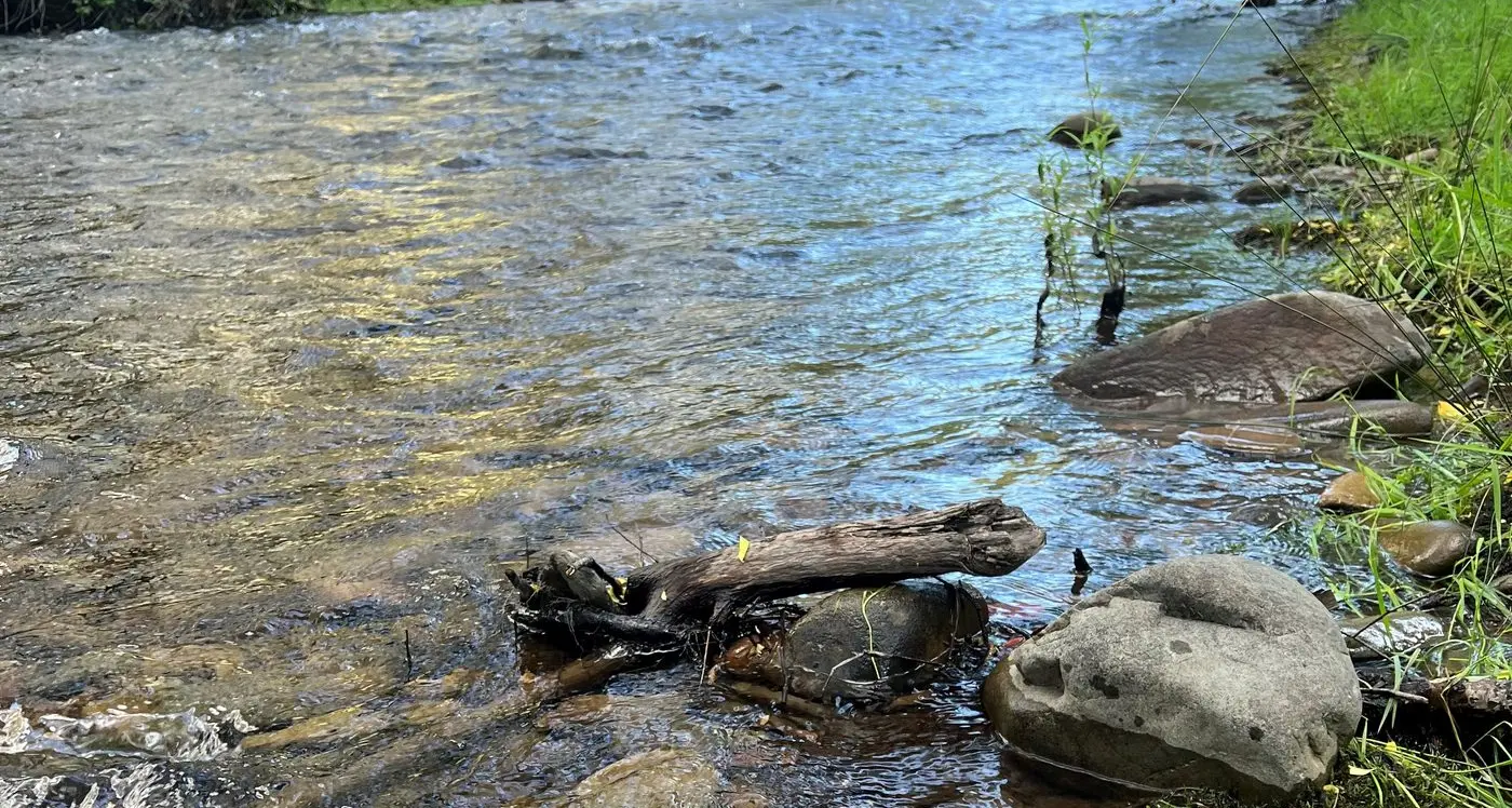 T'is the season to go fishing