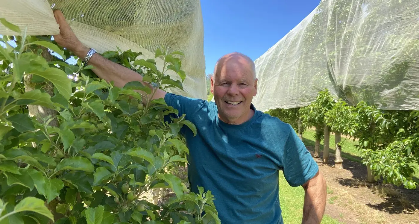 How do you like them apples?