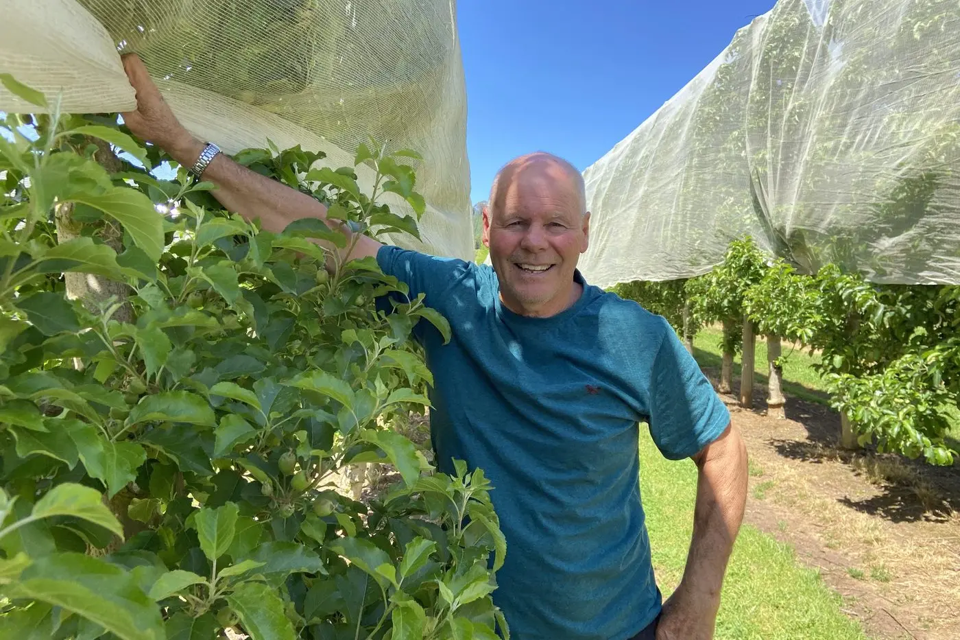 DOING WHAT HE LOVES: Don Nightingale is preparing for his 51st season at the family orchard at Wandiligong. PHOTO: Melissa Noble