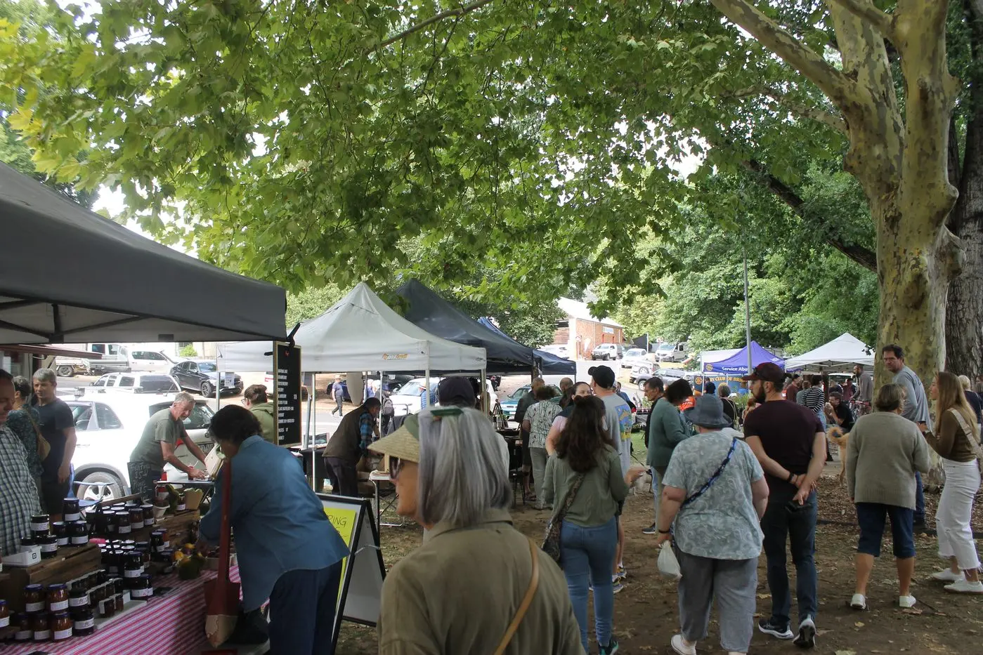 BUSTLING BRIGHT MARKET: Explore the Alpine Shire\\'s monthly markets to find the best local produce and handicrafts. PHOTO: Phoebe Morgan