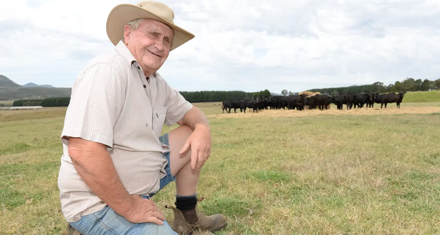 Cattle production primed for sale