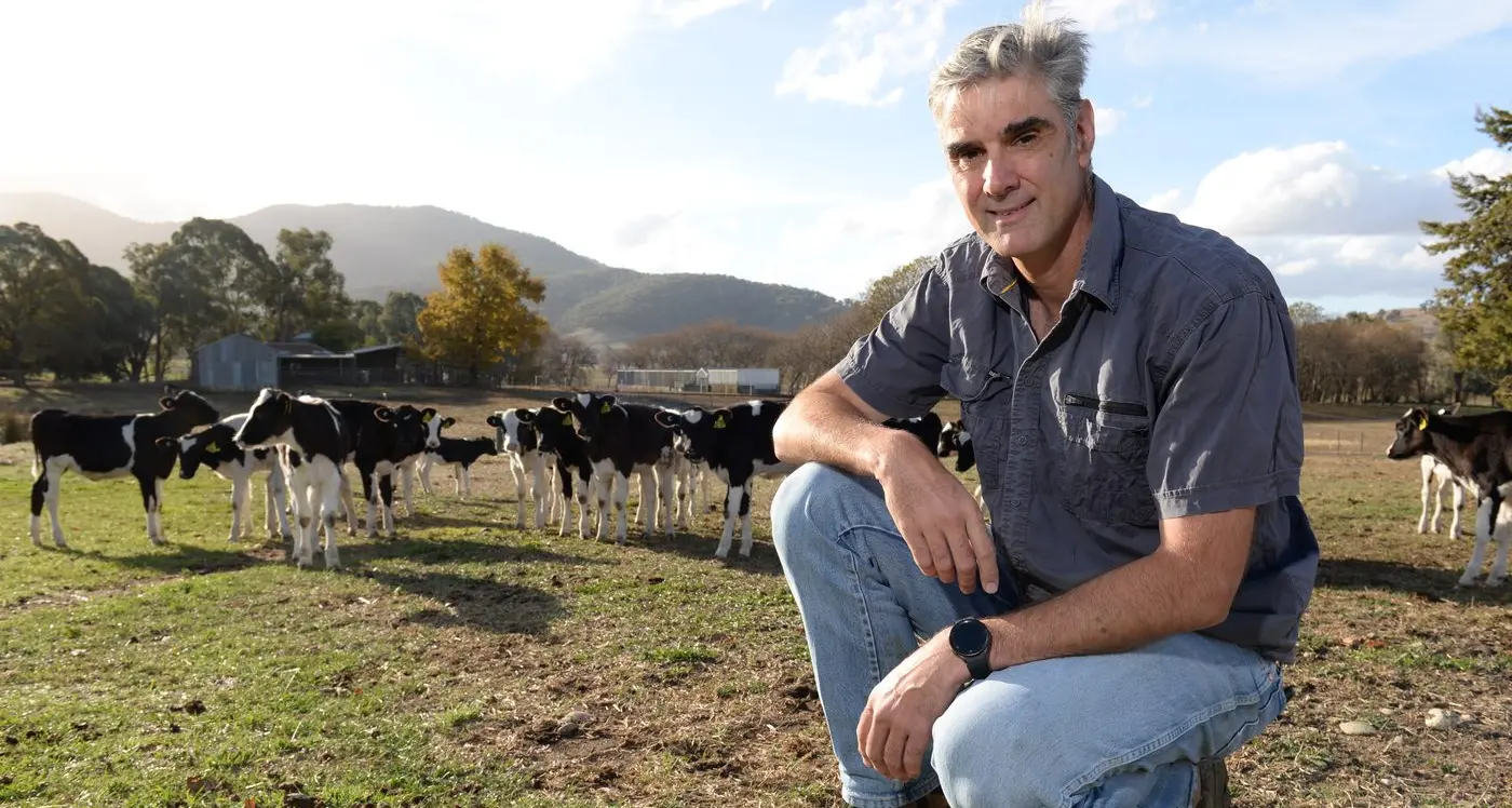 Hopes for dairy price rise after tepid opening offers