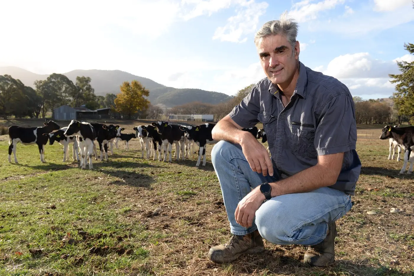MILK MONEY: Dederang dairy farmer Scott McKillop is hoping to see milk price offers rise closer to $9 per kg/MS. PHOTO: Brodie Everist