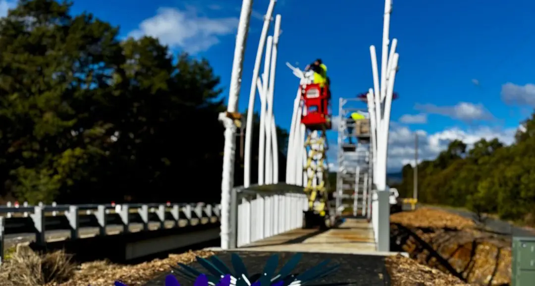 Rail trail blooms in Porepunkah