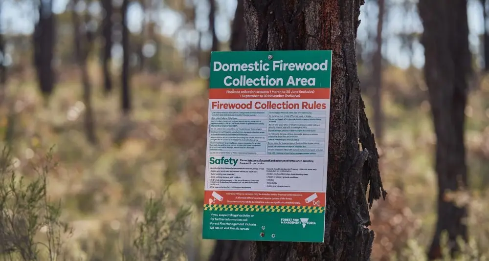 Firewood collection areas open in state forests
