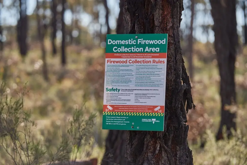 AUTUMN FIREWOOD SEASON: Designated state forest firewood collection areas are now opened.