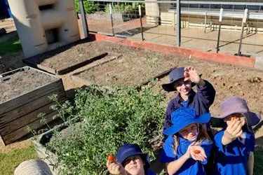 GOOD FOOD: Everton Primary School students including (from left) Zade Weller, Archie Dodds, Maree Ginkel, Sam Villella (back) and Mitchell Titcumb show some of the produce grown in their garden. 