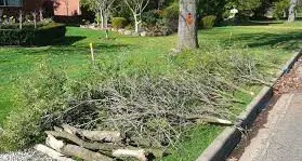 Free green waste disposal in Alpine Shire