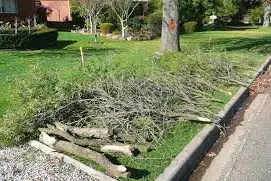 <p>Green waste gets a green light.</p>\\n