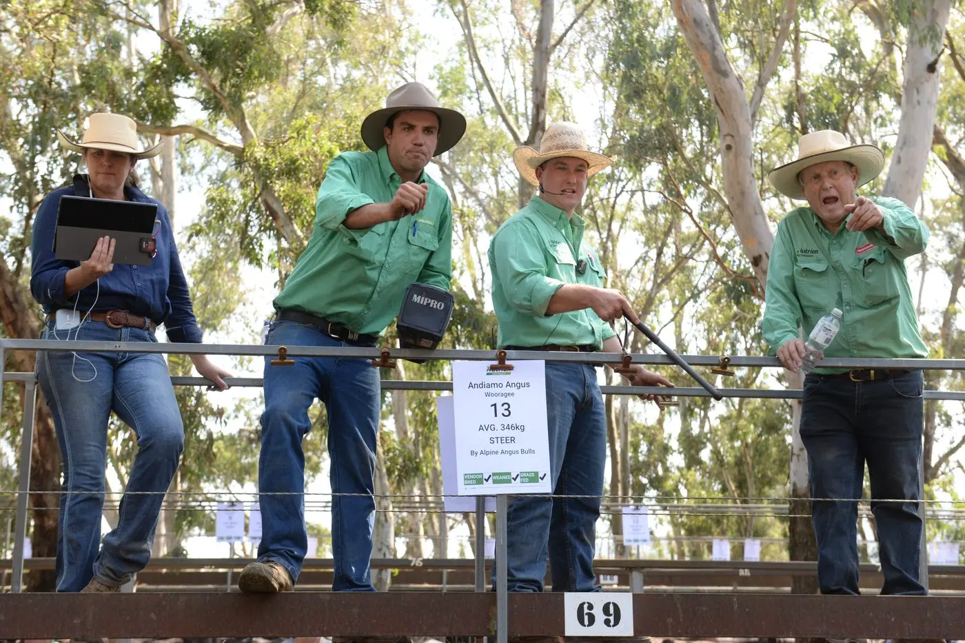 TAKING BIDS:  Around 2400 cattle went under the hammer  at Myrtleford Annual Weaner Cattle Sale last Friday. PHOTOS: Brodie Everist