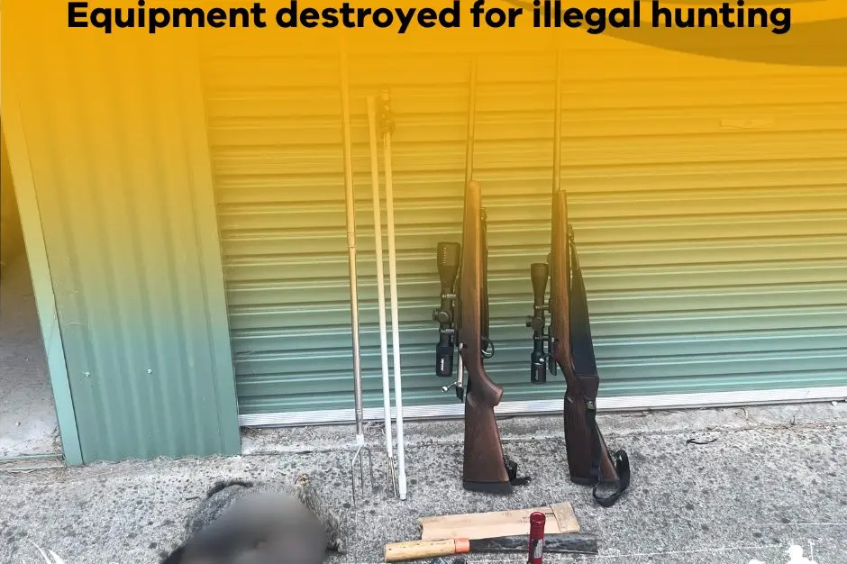 FORFEITED: These firearms seized from two illegal spotlighters were forfeited and destroyed. PHOTO: GMA