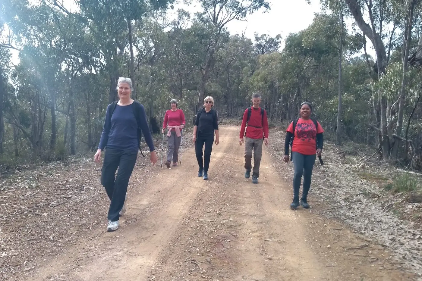 FITNESS BOOST: Friends of Lacluta supporters including (from left) Karen Jones, Melanie Dymond, Liz Cerini, Marino Candusio and Rabela Punef go walking in Myrtleford to achieve their daily steps and support people in Timor Leste.  Id:28935