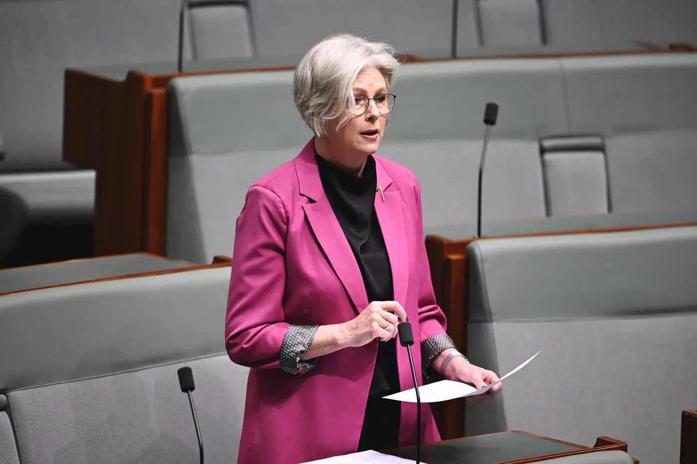 BIG ISSUES ON AGENDA: Dr Haines raising NDIS issues in the House of Representatives. PHOTO: Auspic