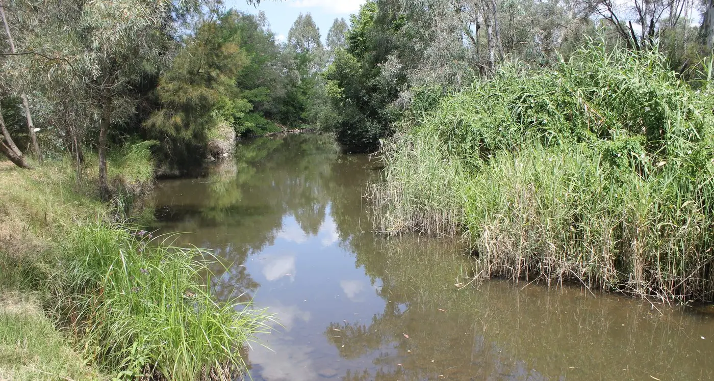 Community members encouraged to help Clean Up Australia
