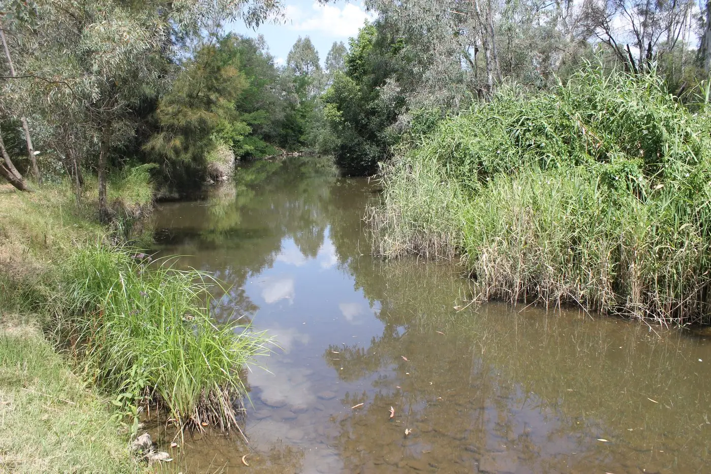 DAY DEDICATED TO DE-LITTERING: Happy Valley Creek in Myrtleford will be pleased to see volunteers lend a hand to clean up rubbish from its waterways.
