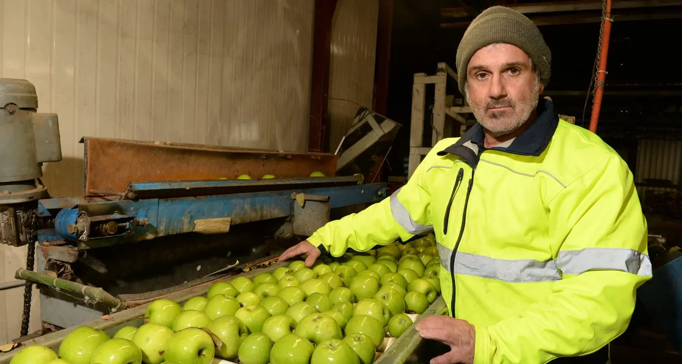 Growers feel pressure of bats and business