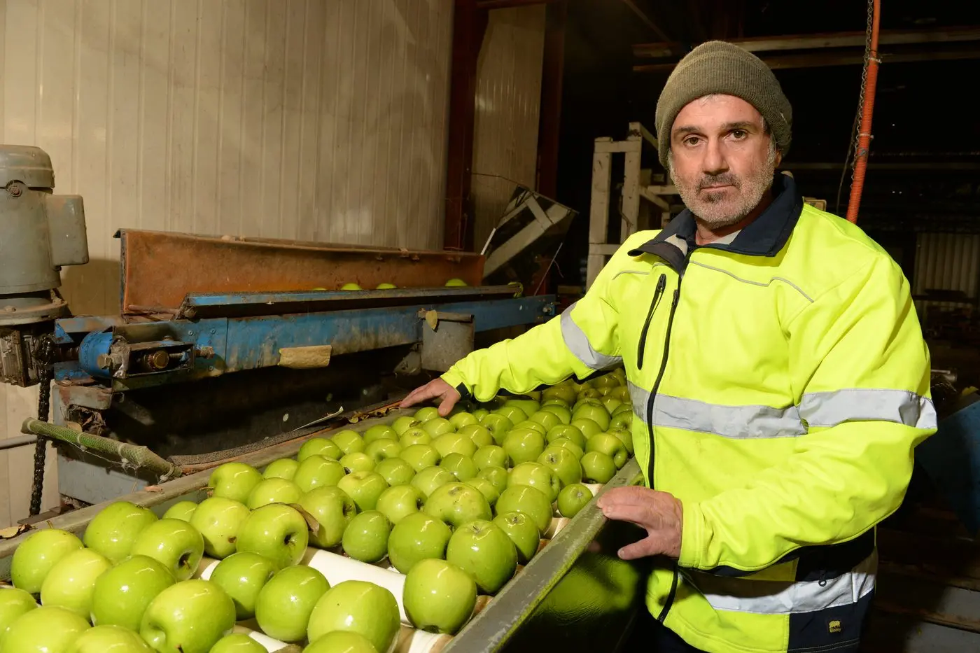 CORE CONCERNS: Freeburgh orchardist Peter Caloutas said increasing costs of business, fruit bats, and a quiet apple market made this year\\'s season difficult. PHOTO: Brodie Everist