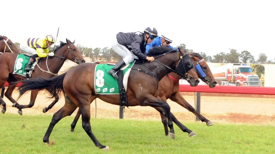 Double delight for Dale stable at Wodonga