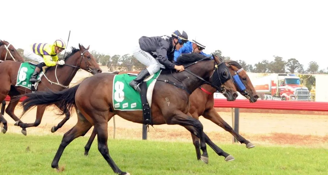 Double delight for Dale stable at Wodonga