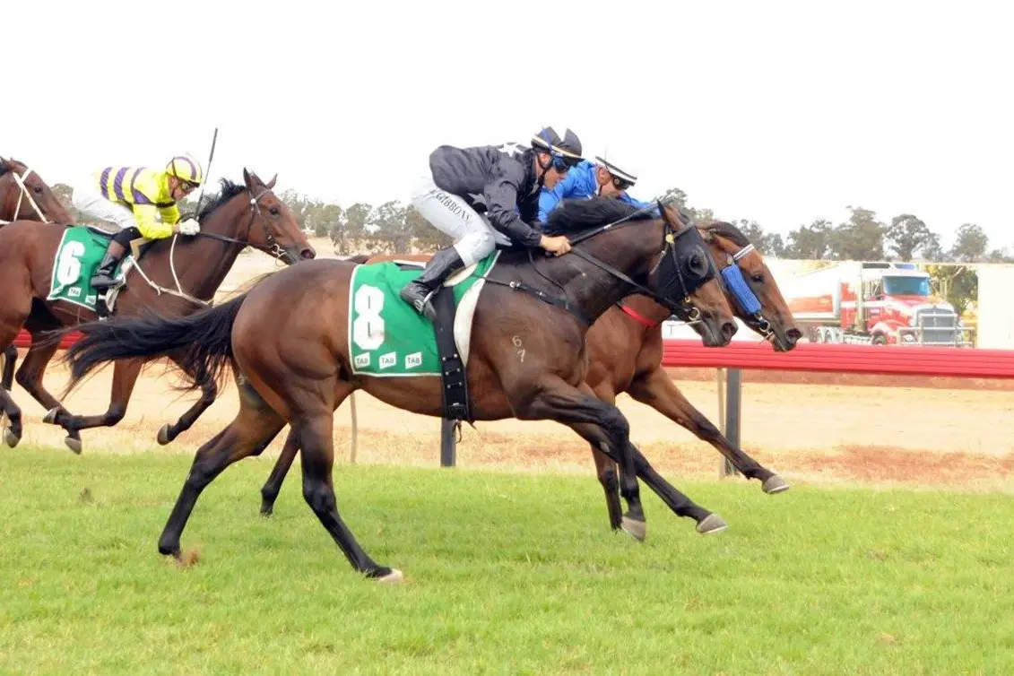 Double delight for Dale stable at Wodonga