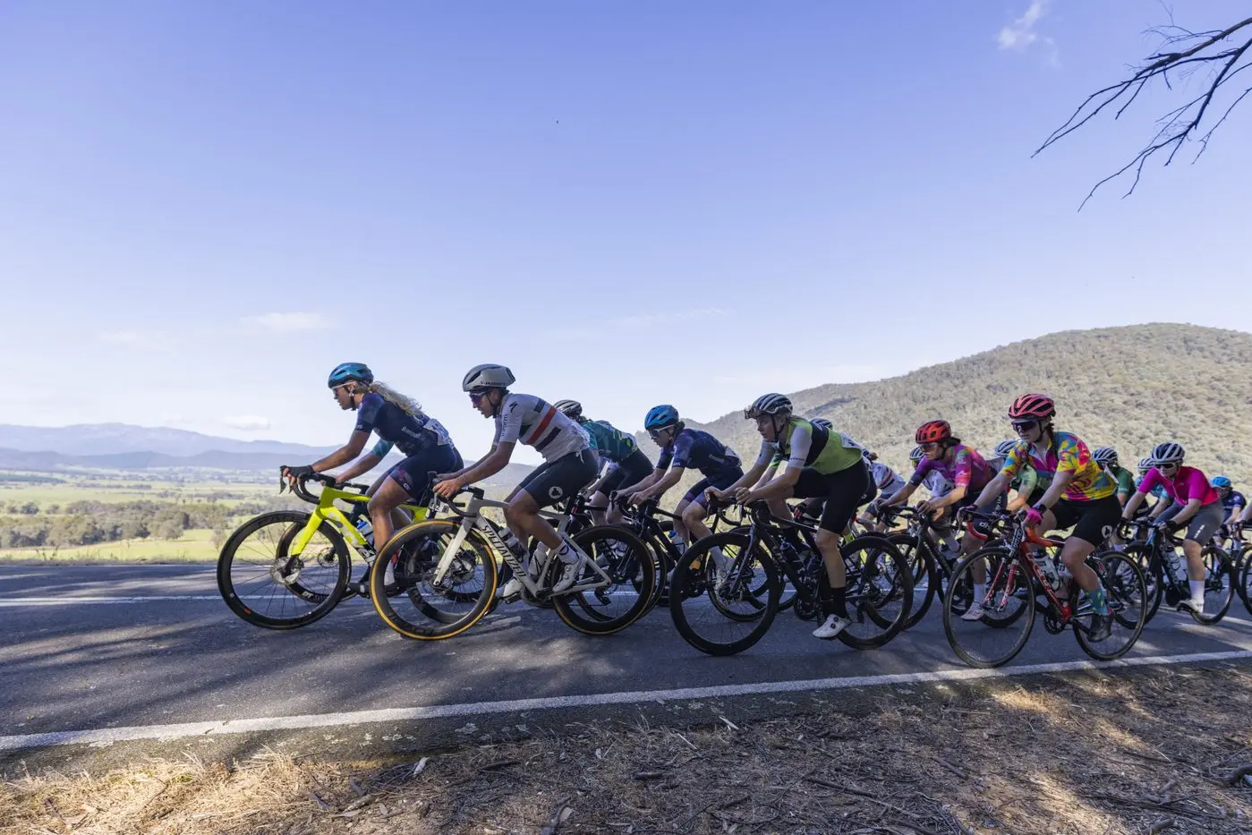 IN THE PACK: Nearly 400 riders registered and raced for the Tour of Bright. PHOTOS JP Ronco.  Id:34637