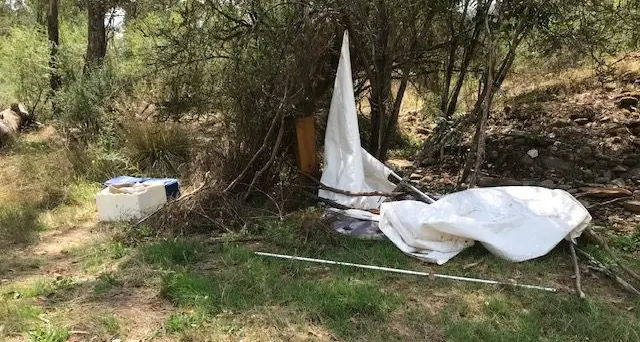 Searching for a sign